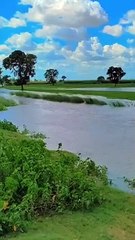 Beautiful Village Nature WhatsApp Status 🌿 (720P HD) | Fresh Air & Scenic Views