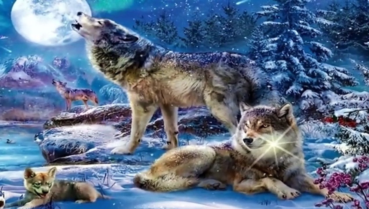 MUSIQUE NOSTALGIQUE JOUE A LA GUITARE ACOUSTIQUE