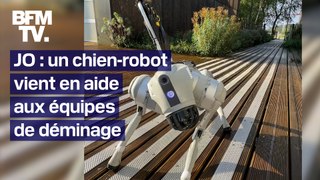 Ce surprenant chien-robot va épauler les équipes de déminage durant les JO