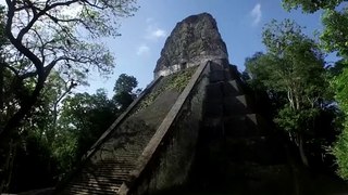 Naachtun : La Cité maya oubliée Bande-annonce (FR)