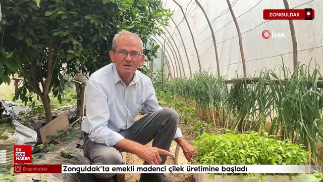 Zonguldak'ta hobi amaçlı başladığı çilek yetiştiriciliği gelir kapısı oldu