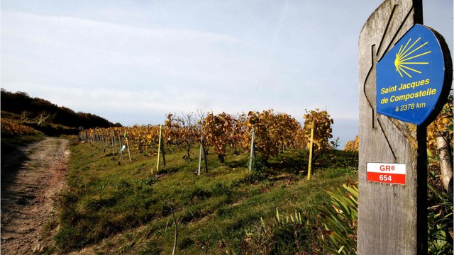 Un pèlerin de 45 ans retrouvé mort sur le chemin de Saint-Jacques-de-Compostelle