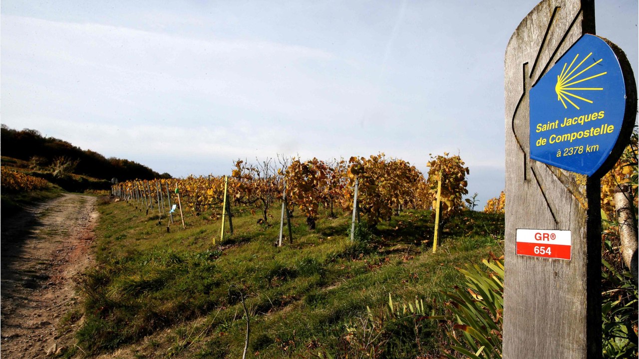 Un pèlerin de 45 ans retrouvé mort sur le chemin de Saint-Jacques-de-Compostelle