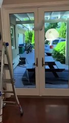 Entertainment video play now happiness