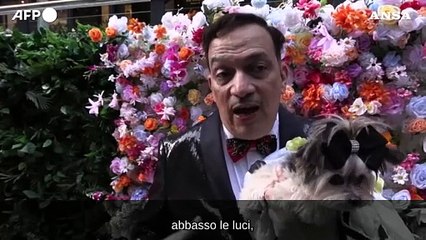 Ecco il Pet Gala, a New York i cani sfilano con i look del Met Gala