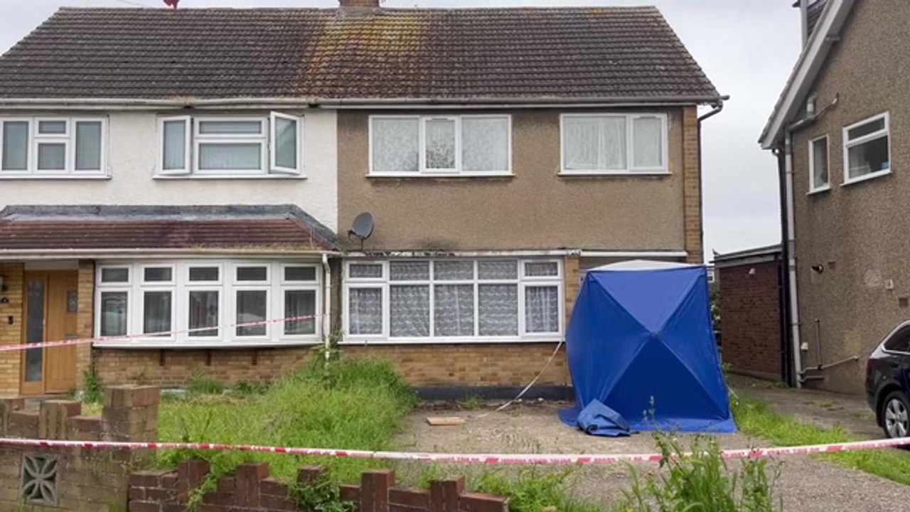 Woman mauled to death by her two XL bully dogs in Hornchurch