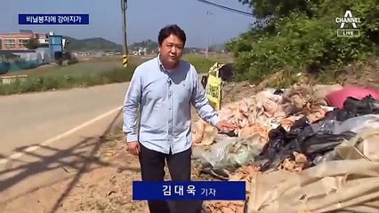 비닐봉지에 담아 버린 강아지 6마리