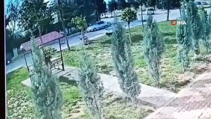 Konya'da kız öğrenciye köpek saldırdı! O anlar güvenlik kamerasında...