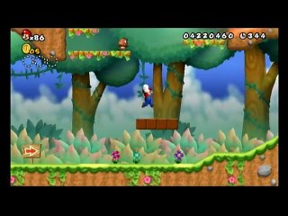 New Super Mario Bros Wii 48