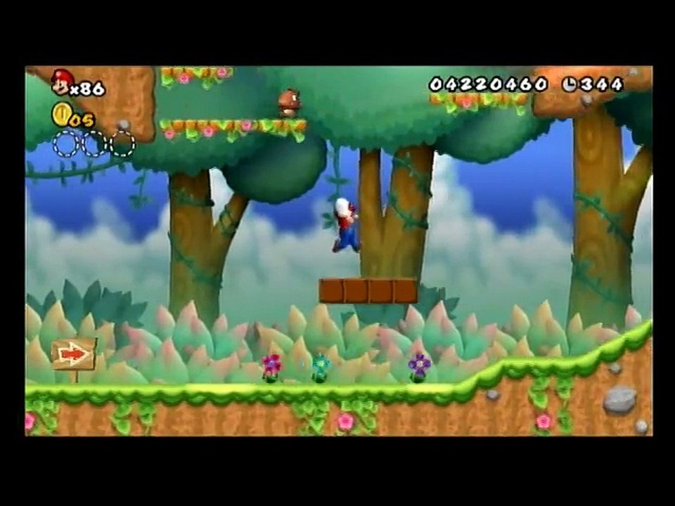 New Super Mario Bros Wii 48