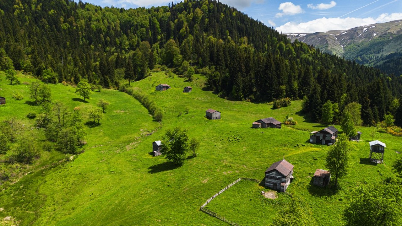 Yayla sezonu açıldı: Saklı cennet Kumanında Yaylası