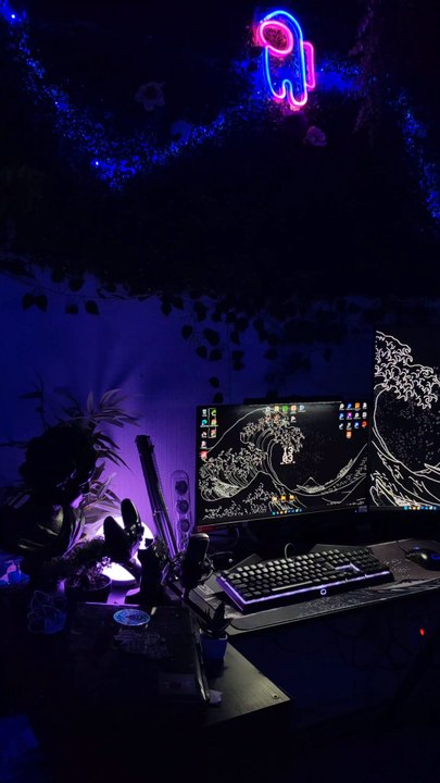 setup incroyable ! TikTok : not.zora1
