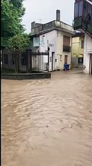 Maltempo nel Trevigiano, il video degli allagamenti a Bessica di Loria