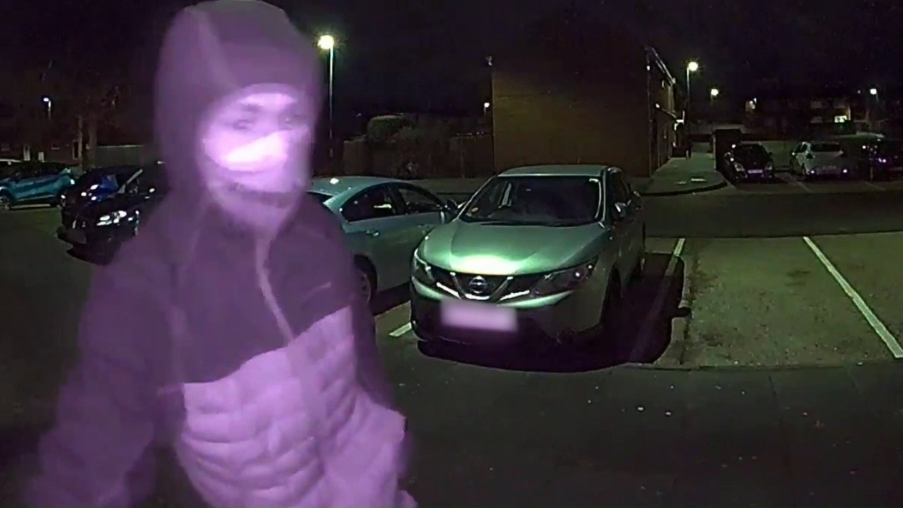 Teen burglar raids 20 homes in crime spree - video Dailymotion