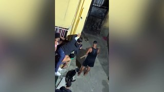 Jacaré é capturado por moradores na Cidade de Deus, RJ