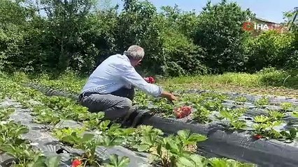 Emekli oldu, bu işe girdi: Kilosu 100 TL, siparişe yetişemiyor!