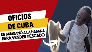 De Batabanó a la Habana para vender pescado