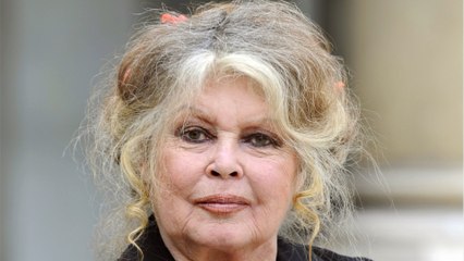 GALA VIDEO - Brigitte Bardot : son surprenant “retour” en musique est imminent !