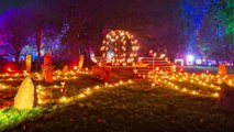 Northern Lights is coming to Temple Newsam in Leeds this Christmas