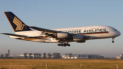 Grave Accidente Aéreo: 1 Muerto y 30 Heridos En Un Vuelo De Singapore Airlines