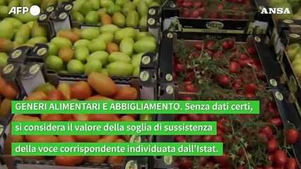 Nuovo redditometro, ecco le tipologie di spesa