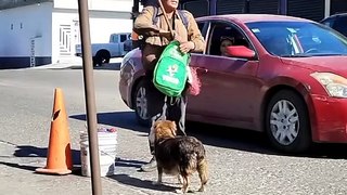 Hombre en Tijuana cargaba perritos recién nacidos dentro de mochila