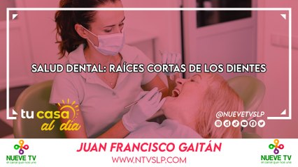 Salud Dental: Raíces Cortas de los Dientes