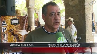En dos años disminuyó el 40 por ciento de colmenas en Jalisco