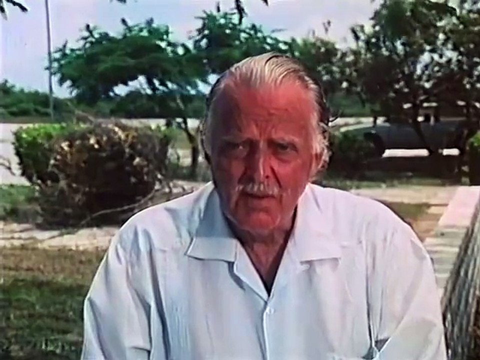 Cyclone (1987) stream deutsch anschauen