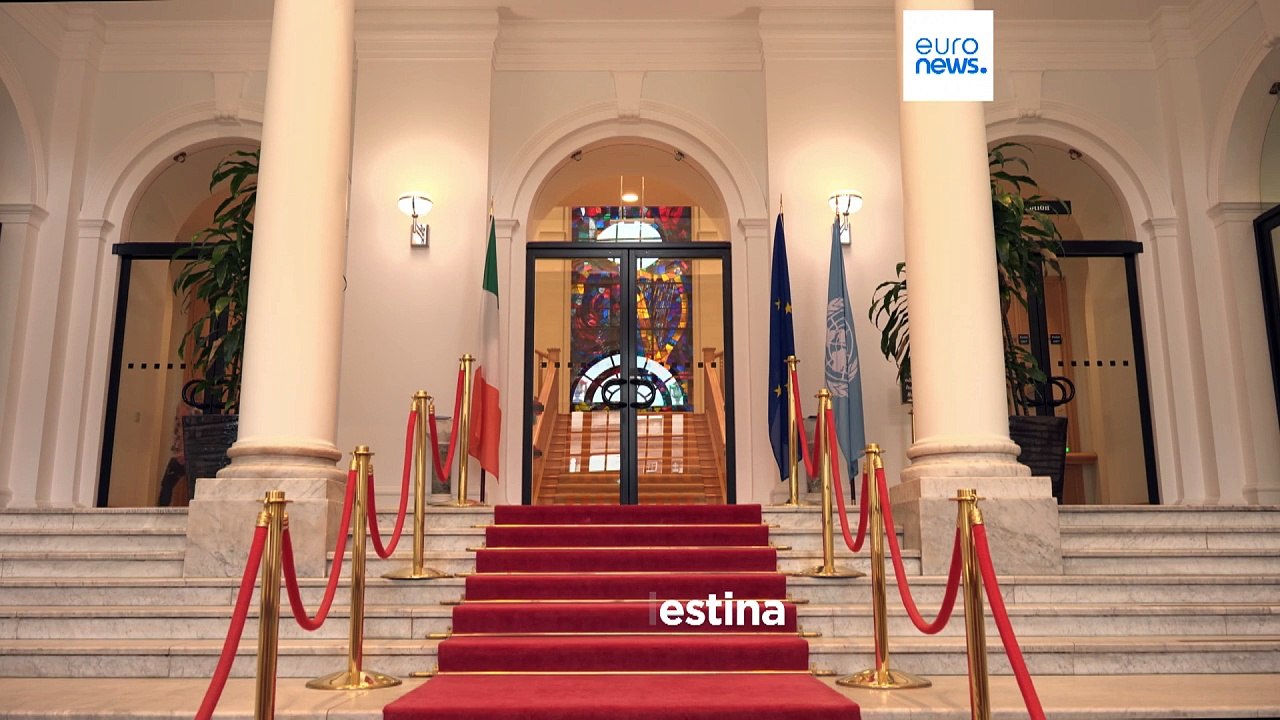 "Stato di Palestina unica via per la pace" dice il primo ministro dell'Irlanda Harris a Euronews