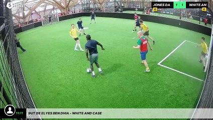 But de Elyes BEN DHIA - WHITE AND CASE