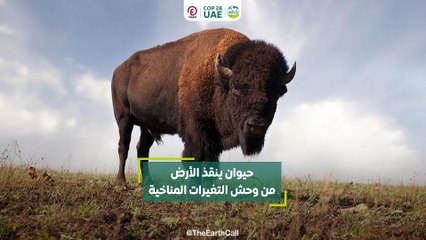 حيوان ينقذ الأرض من وحش التغيرات المناخية