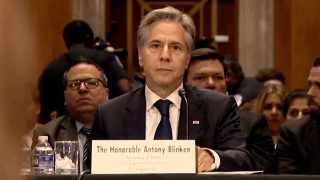 Moment protesters interrupt Blinken during committee testimony: ‘Butcher of Gaza’