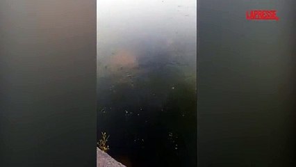 Campi Flegrei, il Lago d'Averno sembra "ribollire" dopo il terremoto