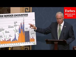'Literally Worse Than Doing Nothing': Ron Johnson Tears Into Dems For Border Security Bill 'Charade'