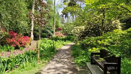 See beautiful Tilgate in the sun