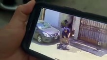 Piden justicia para Santino, perrito en Tijuana que fue atacado y envuelto en una bolsa a pesar de mostrar señales de vida