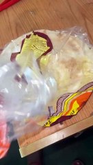 11 crew members stranded on vessel for 45 days, with limited food, water, electricity