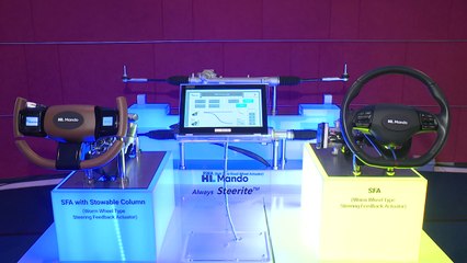 올해의 발명왕 '자동차 급가속 정지 기술' 김용은 연구원 / YTN