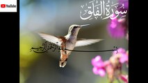Surah Al.Falaq | surah Falaq | tilawat of surah Falaq | Sura Falaq in Quran| surah Falaq in best voice | Surah Falaq recitation| surah Al.Falaq learning