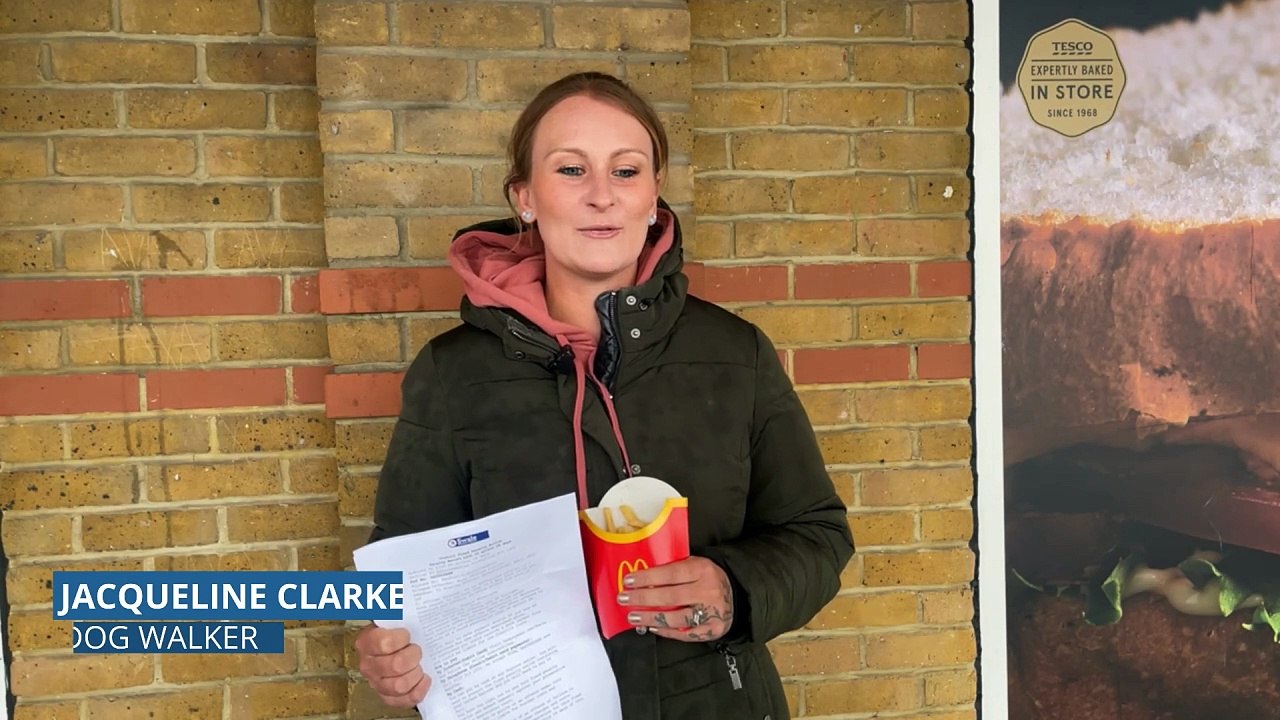 Dog walker fined after seagulls eat chips