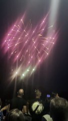 Le Feu d’artifice du 14 juillet Grenoble  Parc Jean-Verlhac Villeneuve #france #grenoble #show (12)