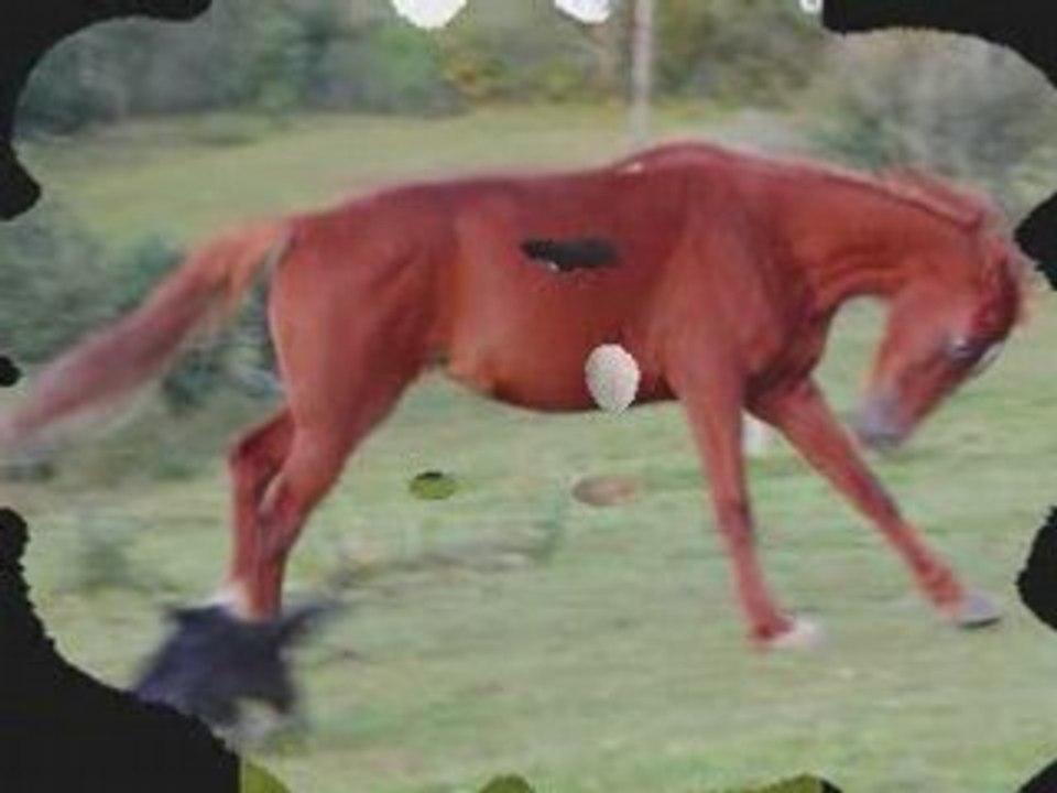 SansTitre_0002