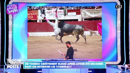 Un torero grièvement blessé après avoir été encorné : Doit-on interdire les corridas ?