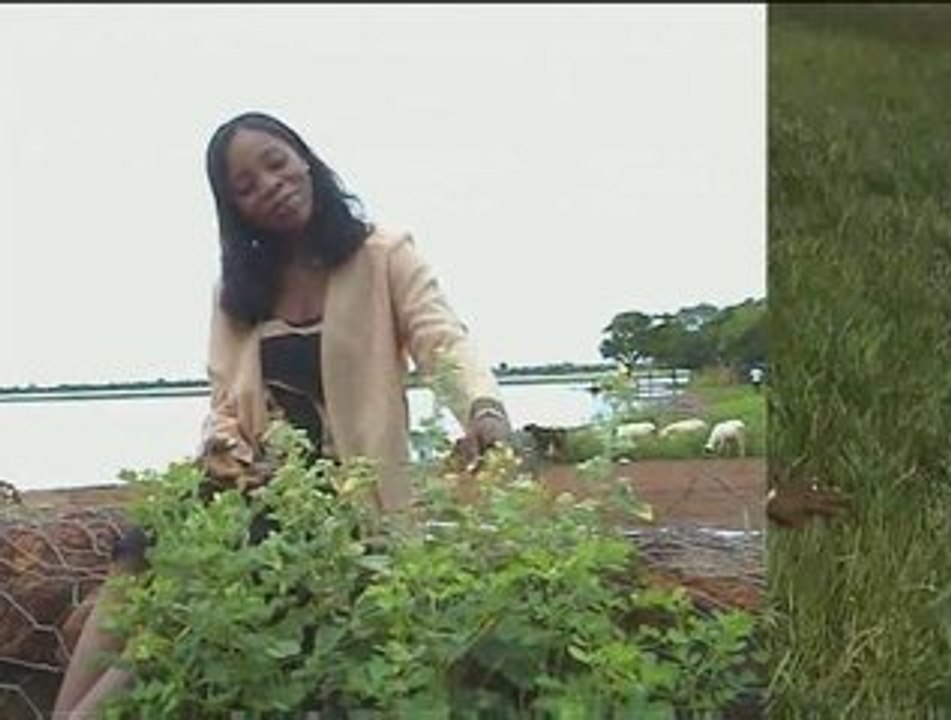 L'Eternel est Mon berger