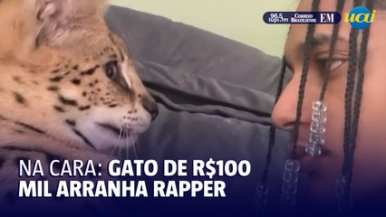 Oruam é arranhado por gato avaliado em R$ 100 mil