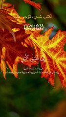 Islamic video #islamic_video #islamic #Quran