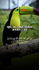 Islamic video #islamic_video #islamic #Quran