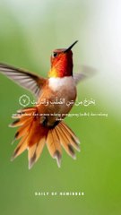 Islamic video #islamic #islamic_video #Quran