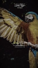 Islamic video #islamic_video #islamic #Quran